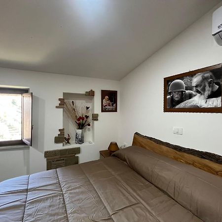 Dimora Forgione B&B - 피에트렐치나 외부 사진
